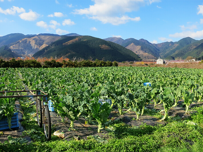 野菜と一緒に農薬や添加物も必要ですか？私たちの答えは「No」です。